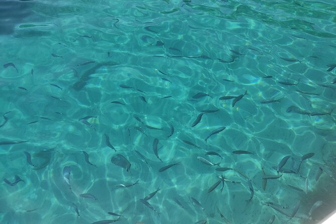 4-Hour Private Boat Tour in Corfu - Is $483.75 a fair price?