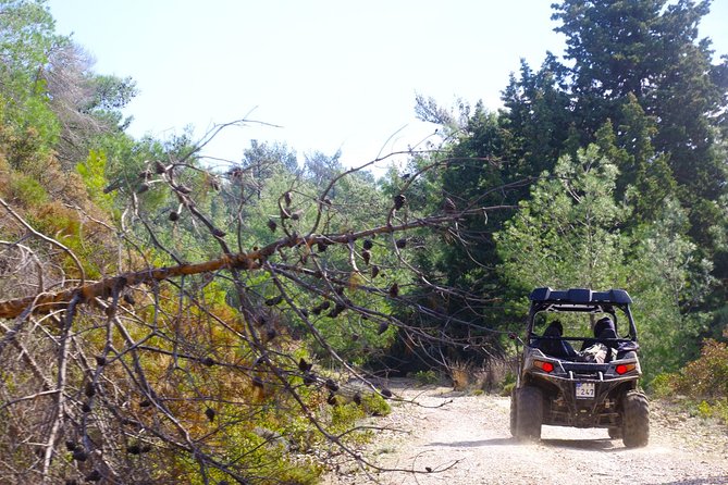4x4 Buggy Adventures - Off-road Polaris Experience - What the Polaris experience is really like
