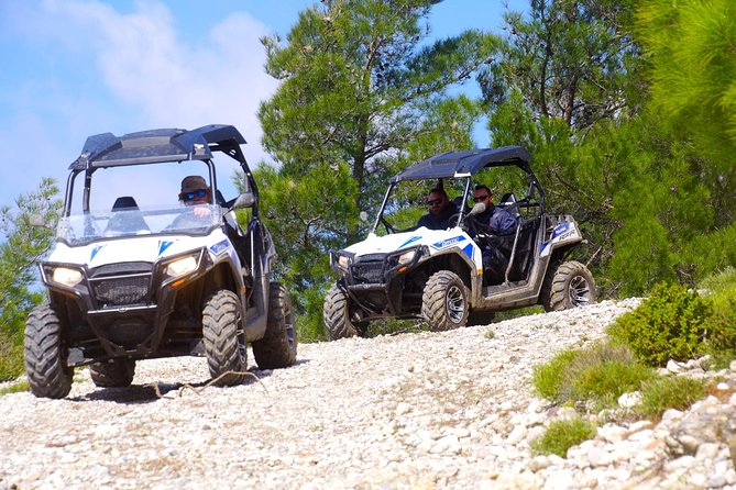 4x4 Buggy Adventures - Off-road Polaris Experience - The rural tasting stop with honey and donkeys
