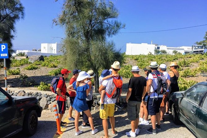 6-Hour Private Best of Santorini Experience - Akrotiri: the ancient city under the ash