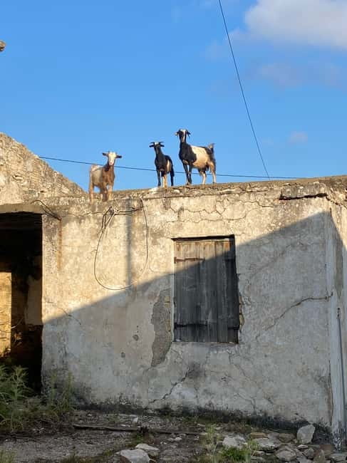 Agia Pelagia: Sunset or Morning Quad Tour & Ghost Town Visit - The ride back and the raki finish