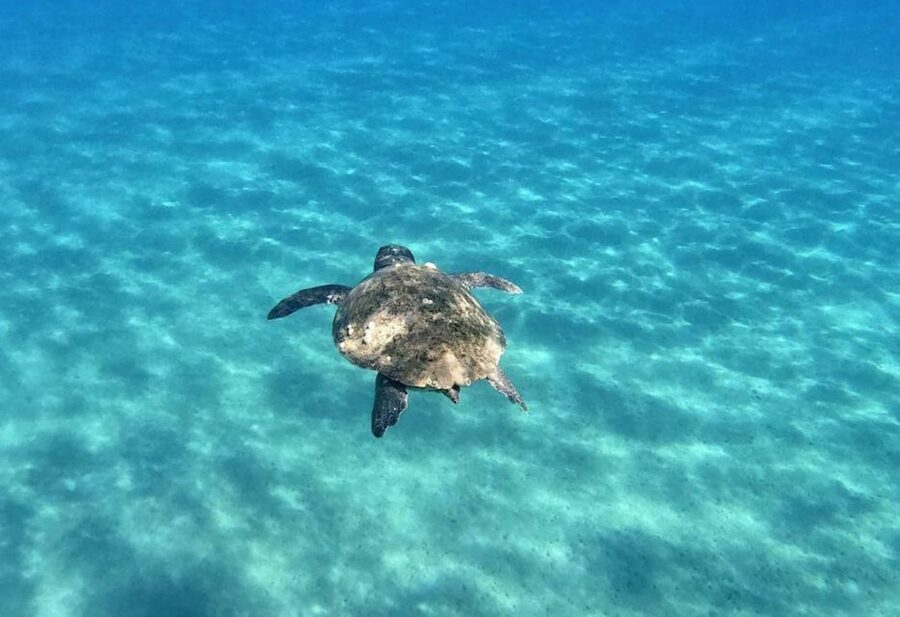 Agios Sostis: Marathonissi, Keri Caves, and Turtle Spotting - Who Will Enjoy This Boat Trip Most