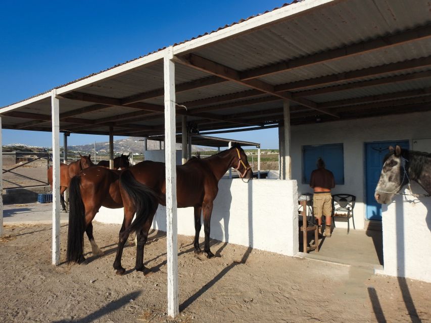 Akrotiri: Guided Horseback Riding Day Trip to a Beach - Getting to the Riding Center