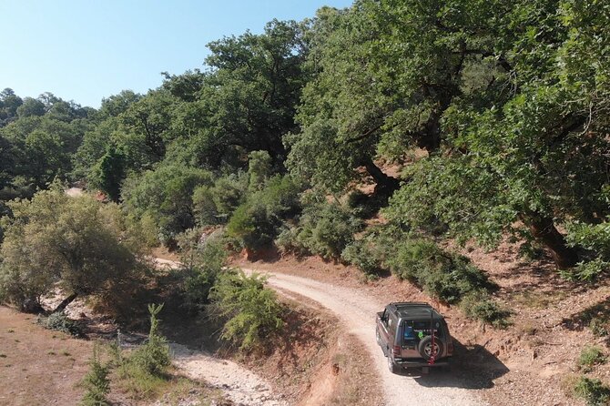 All Day 4x4 Adventure / Lefkada / With Brunch - Climbing toward Lefkada’s oak forest at 673 meters