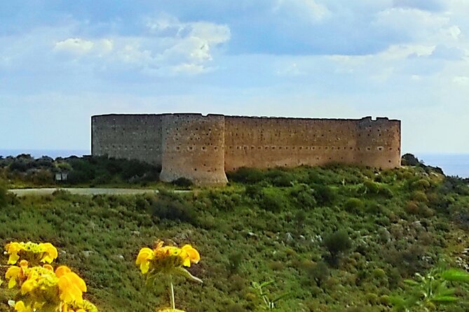 All Inclusive Full-day Private Tour of Crete Villages from Chania - Coffee, Cretan snacks, and a taste of daily life