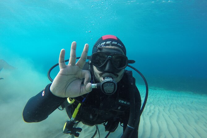 Anavyssos Athens Riviera: Beginners' Guided Try Scuba Diving - What you can see beneath the surface