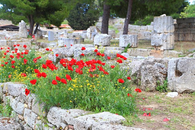 Ancient Corinth & Nafplion One-Day Tour from Athens - Why this Athens day trip is worth considering