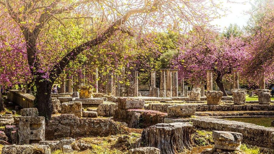 Ancient Olympia full day private tour from Athens - Key points to know before you book