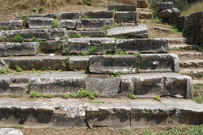 Ancient Sparta & Mystras Private Day Tour from Athens - What the Olive and Greek Olive Oil Museum adds