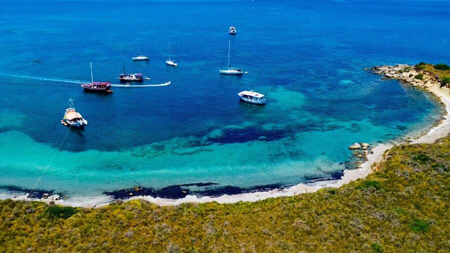 Argostoli: Full-Day Boat Cruise with Lunch - Who should book this day on the water?