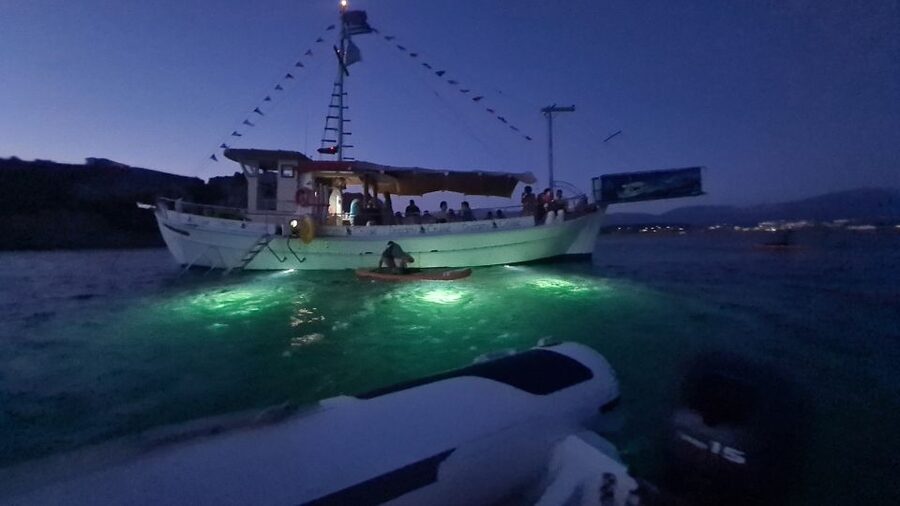 Argostoli: Full-Day Traditional Boat Cruise with Lunch - Vardiani Island and the homemade lunch