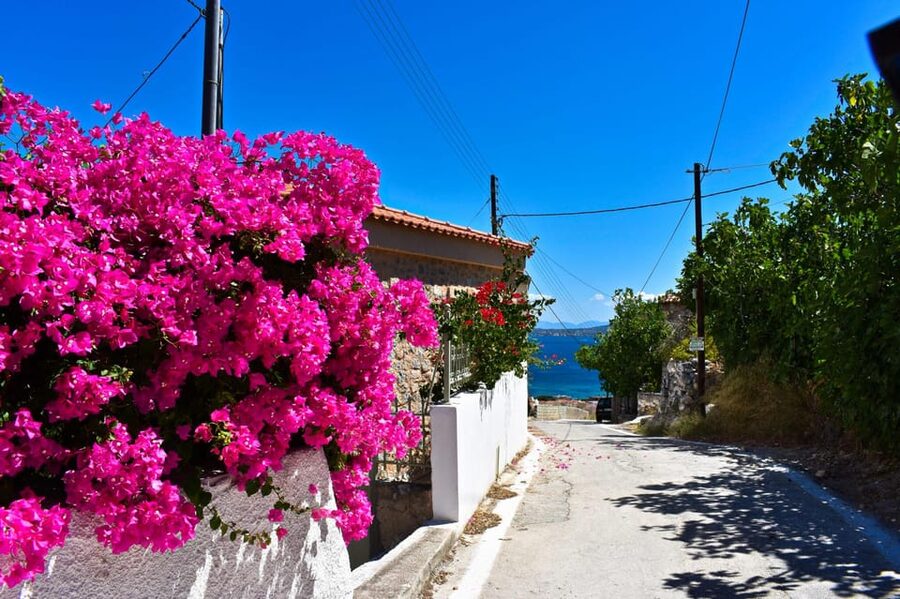 Athens: Agistri, Metopi & Aegina Cruise with Meals & Drinks - Agistri: a quiet first island stop