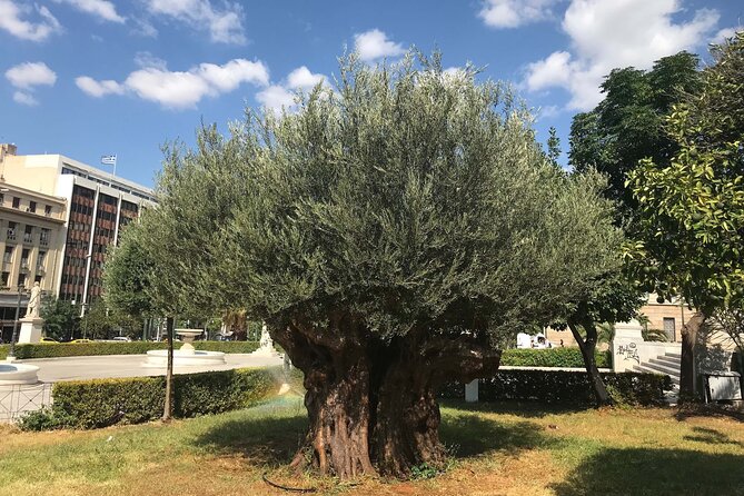 Athens by E-Bike: Monuments, Food & Transfers (Cruise Tour) - A pastry, water, and a traditional café