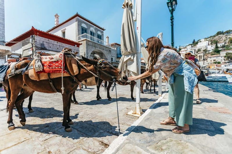 Athens Day Cruise – Since 1965 | Visit Hydra, Poros & Aegina - A classic Athenian escape since 1965