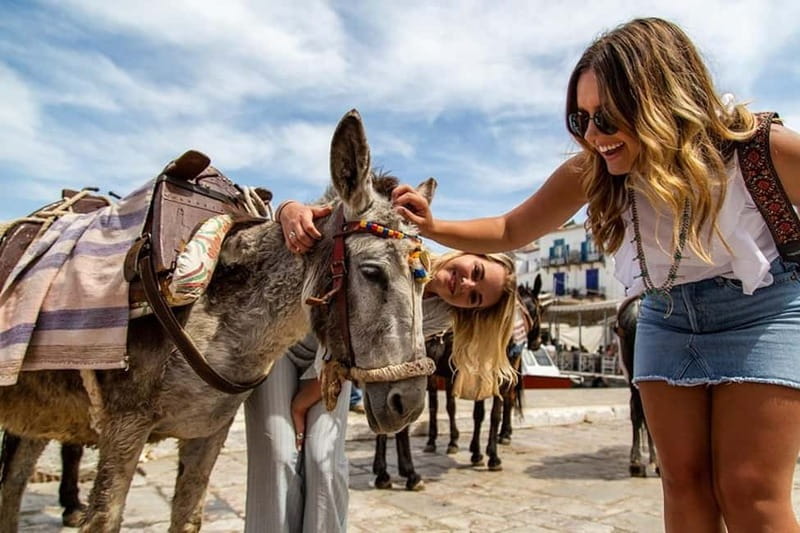 Athens Day Cruise – Since 1965 | Visit Hydra, Poros & Aegina - Getting from Athens to the port
