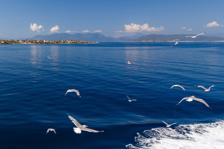 Athens: Guided Day Trip to Aegina Island with Swimming - Two hours by the water for swimming and lunch