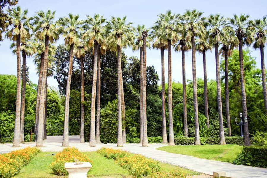 Athens Instagram Tour: The Most Scenic Spots - A green pause in the National Garden