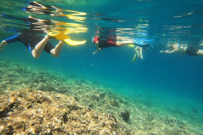 Athens, Nea Makri: Guided Small Group Snorkeling Boat Excursion - Getting to Nea Makri and planning your day