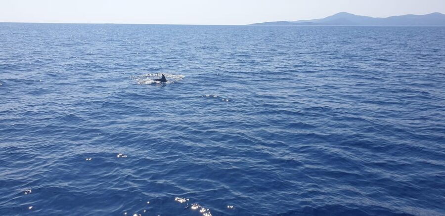 Athens: Riviera Catamaran Tour with Fresh Meal and Drinks - Cruising toward Hydrousa and Voula