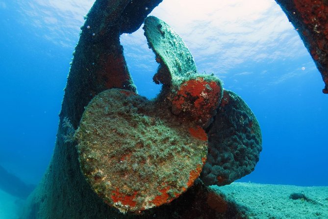 Athens Scuba Diving Experience for Certified Divers with Pickup - Why the small group matters