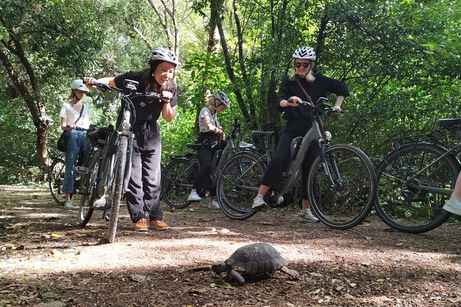 Athens Small Group Electric Bike Tour - The Panathenaic Stadium and Roman Forum