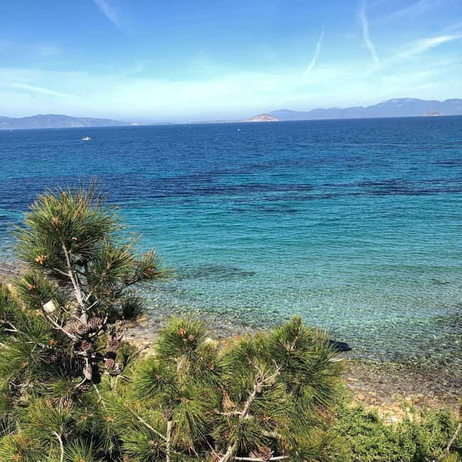 Athens to Aegina: Greek Island Escape & Swim Day Trip - Is $67 a fair price for this day?