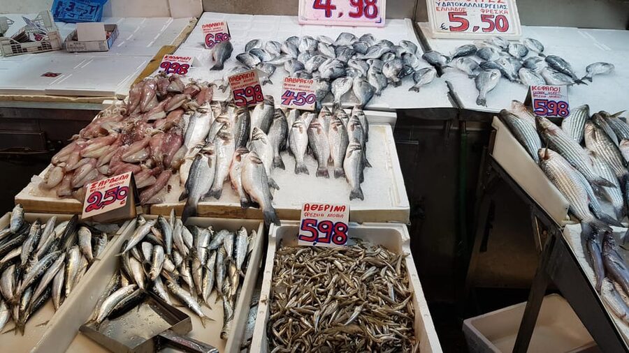 Athens: Traditional Greek food tour in hidden spots - A guide-led introduction to local Athens