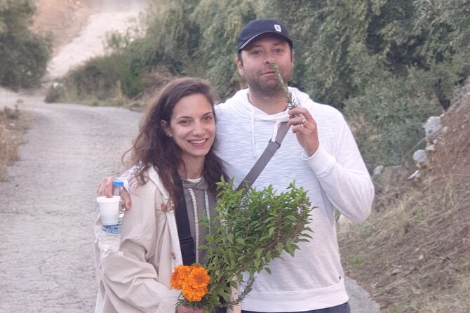 Authentic Olive Oil and Cultural Experience in Crete - Kritsa olive groves and the start of the story