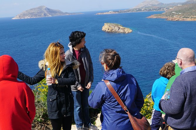 Cape Sounio Temple of Poseidon Half Day Private Tour - What the one-hour visit feels like