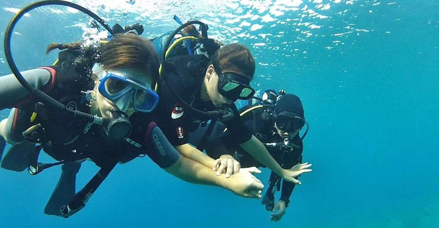 Chalkidiki: Scuba Diving for Beginners in Kassandra - Key points at a glance