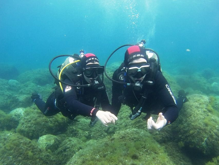 Chalkidiki: Scuba Diving for Beginners in Kassandra - Pickup from southern Kassandra