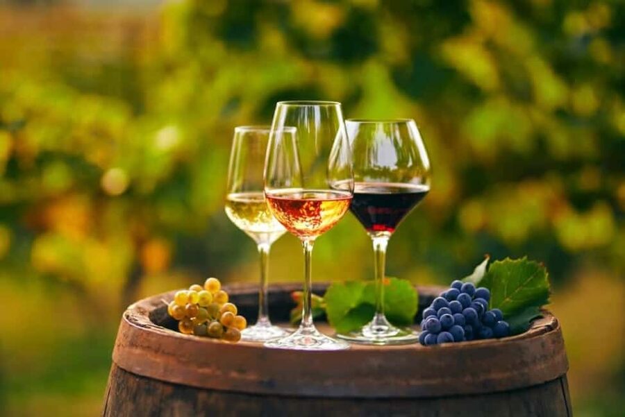 Chania Area: Food Tasting Tour with Winery Visit & Swim Stop - Vouves and its ancient olive tree