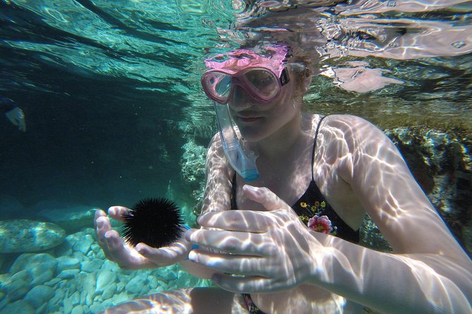 Chania: Boat Trip with Guided Snorkeling Tour & SUP - The snorkeling stops around western Crete