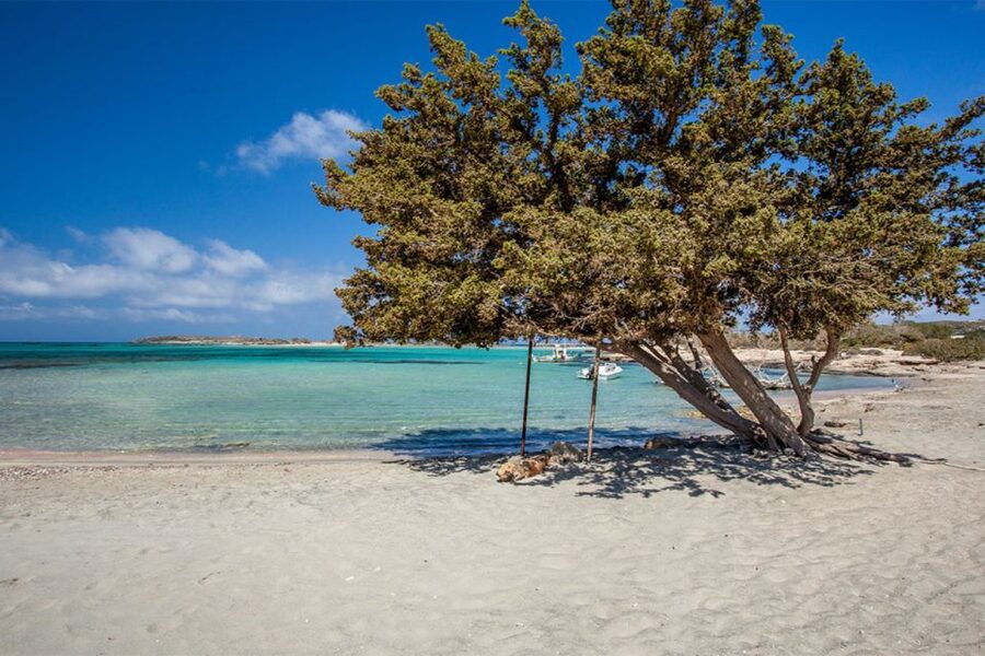 Chania: Elafonisi and Milia Mountain with Loungers and Lunch - Who should book this experience