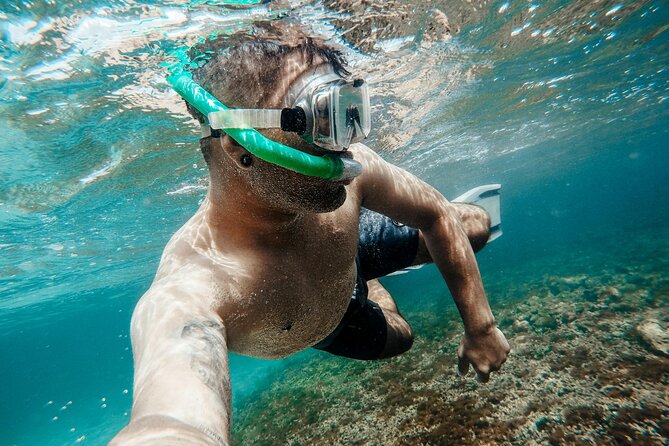 Chania Guided Snorkeling and Boat Excursion - Key points at a glance