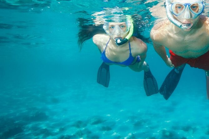 Chania Guided Snorkeling and Boat Excursion - Is $83.88 a fair price?