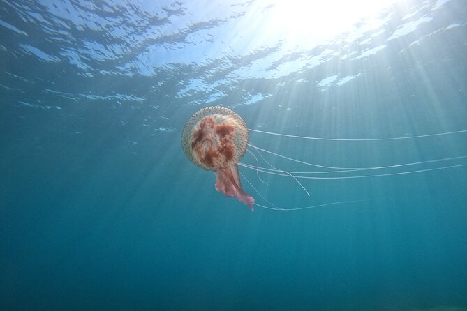 Chania Guided Snorkeling and Boat Excursion - Who will enjoy this outing most?