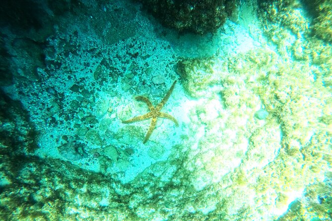 Chania Guided Snorkeling and Boat Excursion - Timing, weather, and cancellation