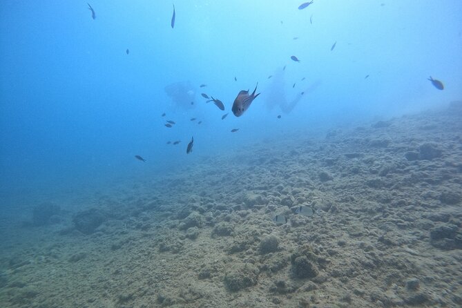 Chania Guided Snorkeling and Boat Excursion - What to bring and how to prepare