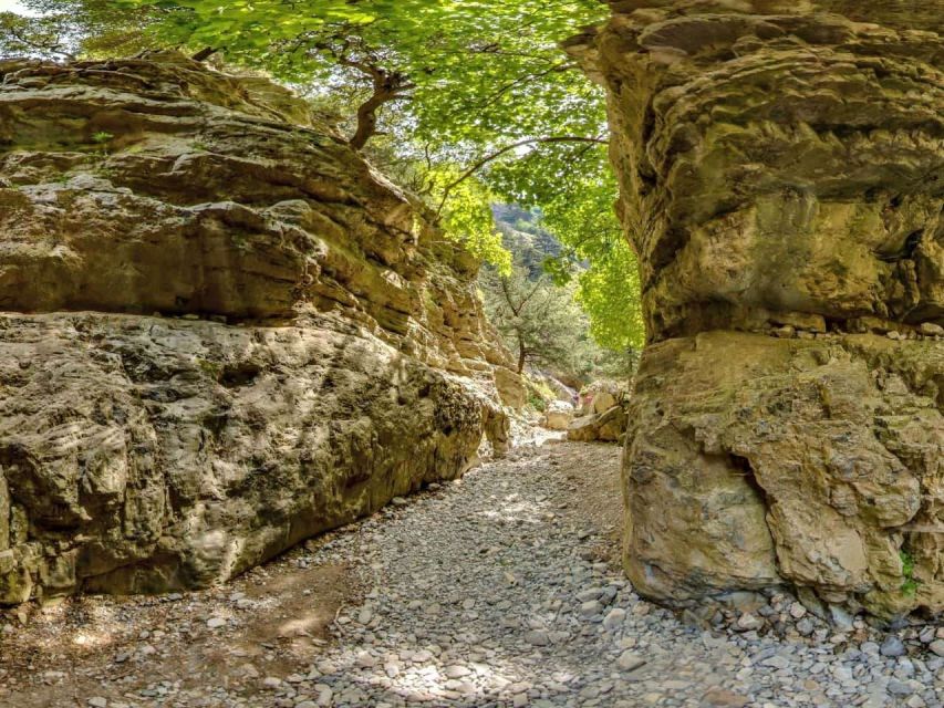 Chania: Imbros Gorge and Libyan Sea Day Tour - The return to Chania