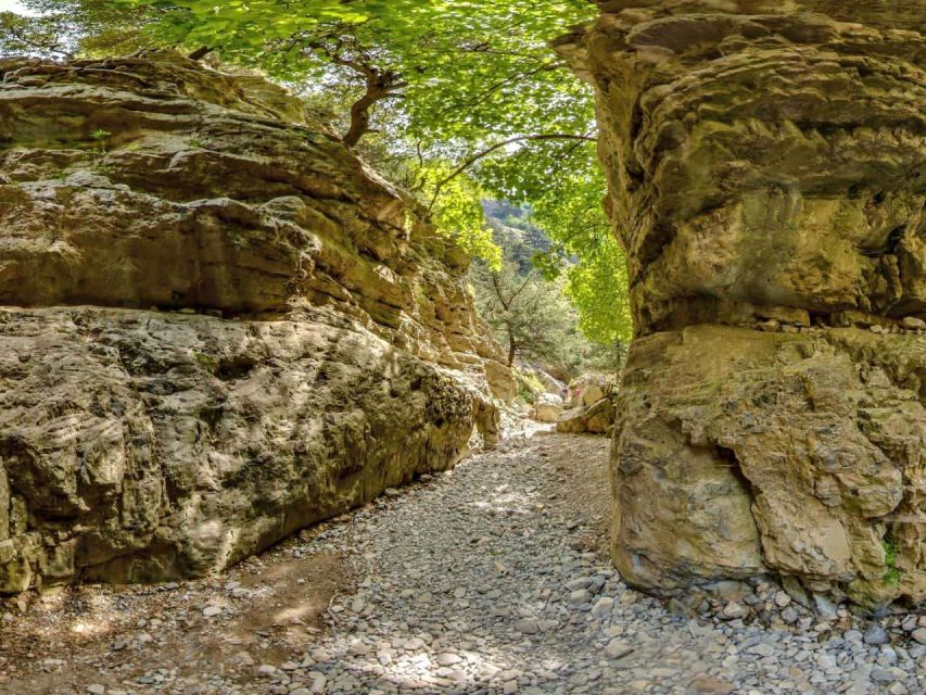 Chania: Imbros Gorge and Libyan Sea Day Tour - Walking through Stenada, Mesofarango, and Xepitira Arch