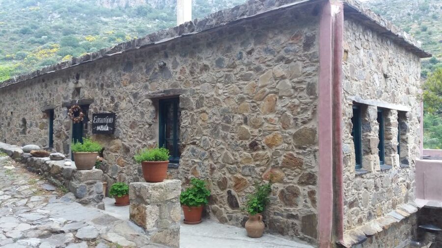 Chania: Milia Mountain Tour w/Lunch Olive Oil/Wine Tastings - Should you book it?
