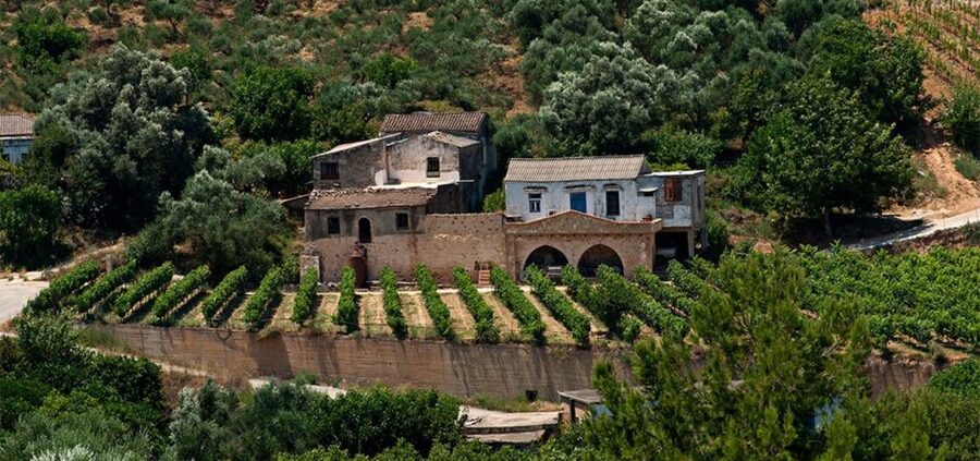 Chania: Milia Mountain Tour w/Lunch Olive Oil/Wine Tastings - Timing, pickup, and practical limits