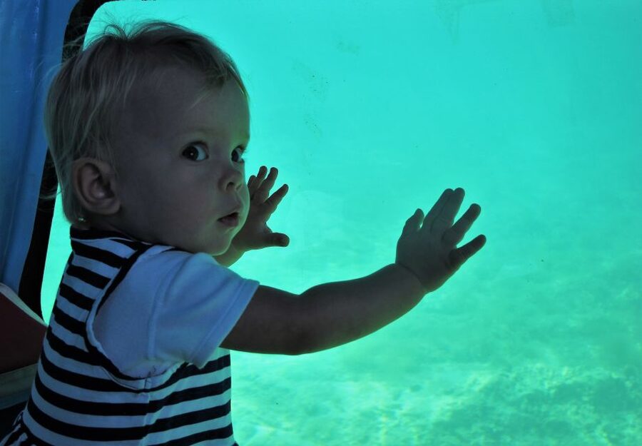 Chania: Semi-Submarine Boat Underwater Experience - Starting at Neoria houses in the Old Venetian Port