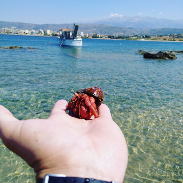 Chania Town: Glass-Bottom Boat Cruise to Thodorou & Lazareta - Key points to know before booking