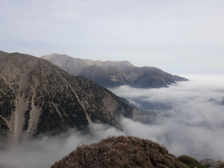 Chania: White Mountains Safari Tour with Lunch and Tastings - From Chania’s coast to the White Mountains