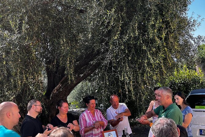 Cooking Classes and olive oil tasting.The real taste of Greece! - Why the wood-fired oven matters