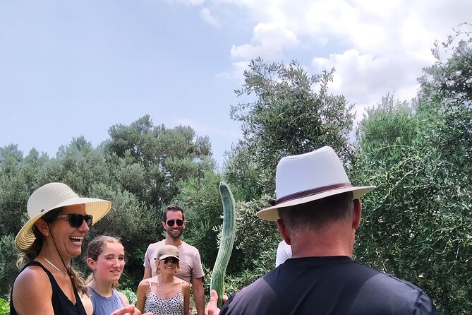 Cooking Lesson in Heraclion - Gathering ingredients from the orchard
