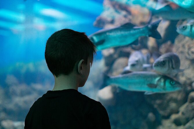 Corfu Aquarium Ticket with Tour Included - A compact look at Corfu’s sea life