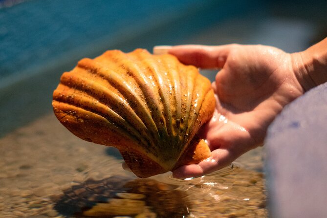 Corfu Aquarium Ticket with Tour Included - Timing, access, and the small practical details